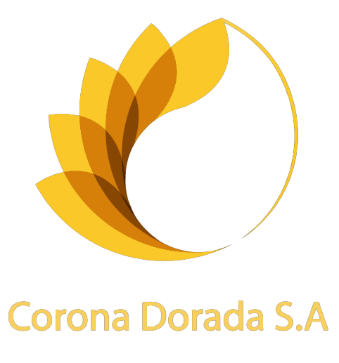 Corona img